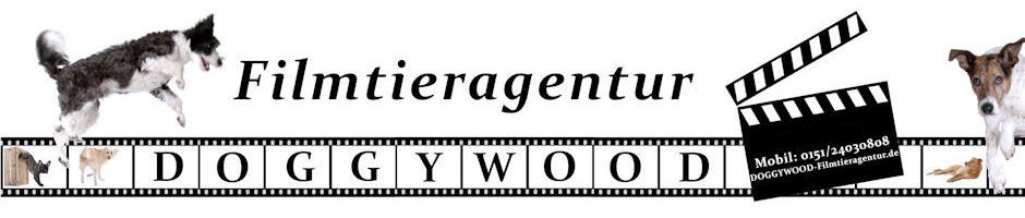 (c) Doggywood-filmtieragentur.de